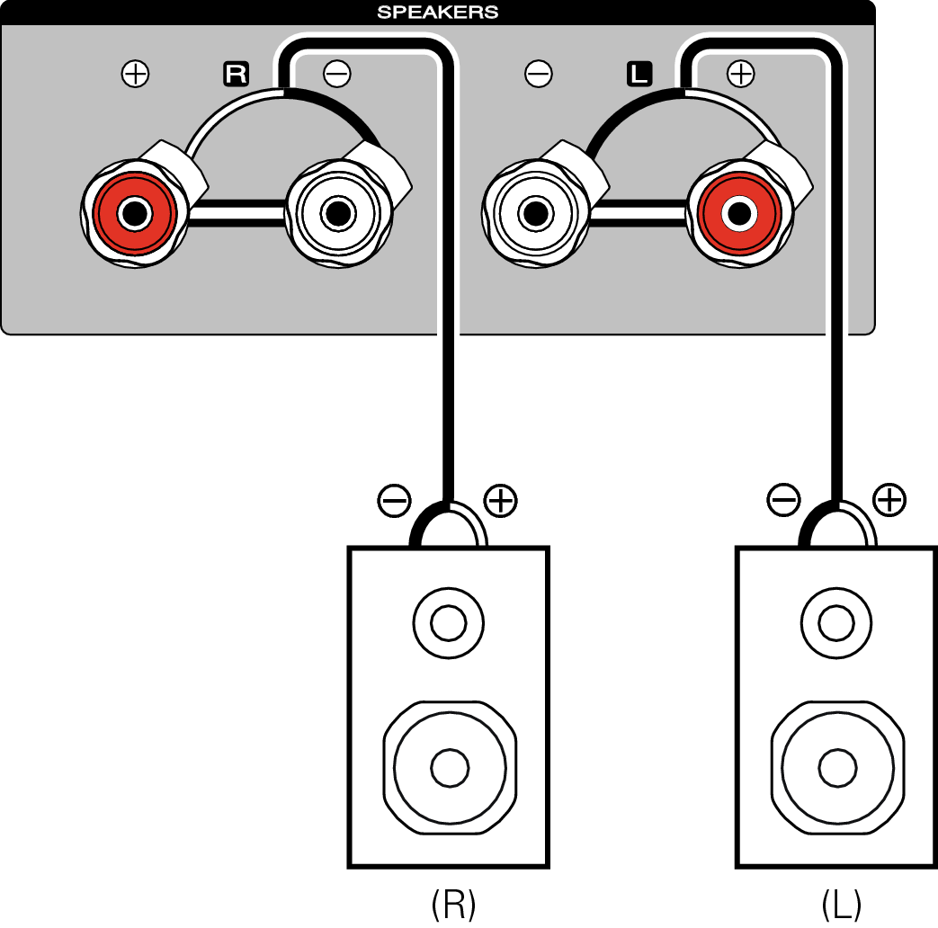 Conne SP MODEL40n